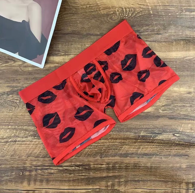 Men's Sexy Sheer Mesh Boxers
