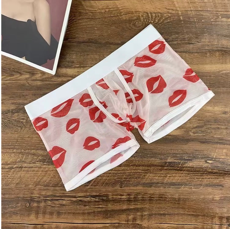 Men's Sexy Sheer Mesh Boxers