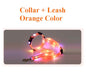 Dog LED Light UP Leash