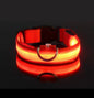 Dog Collar Nylon LED