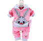 Cute Bunny Baby Tracksuit Set