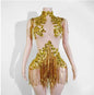 Sparkle Rhinestones Mesh Tassels Leotard Drag Queen/Dance Attire Bodysuit