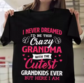 Crazy Grandma T-Shirt